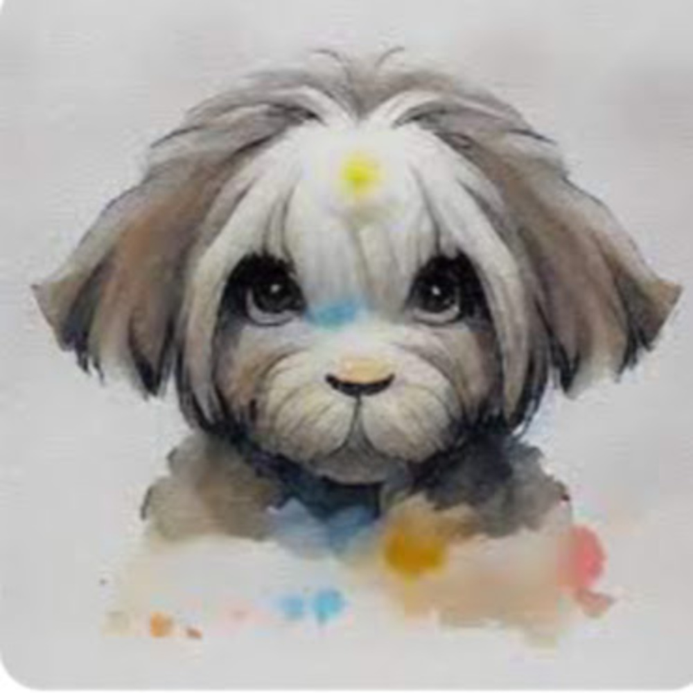 Meet your Posher, Eliana